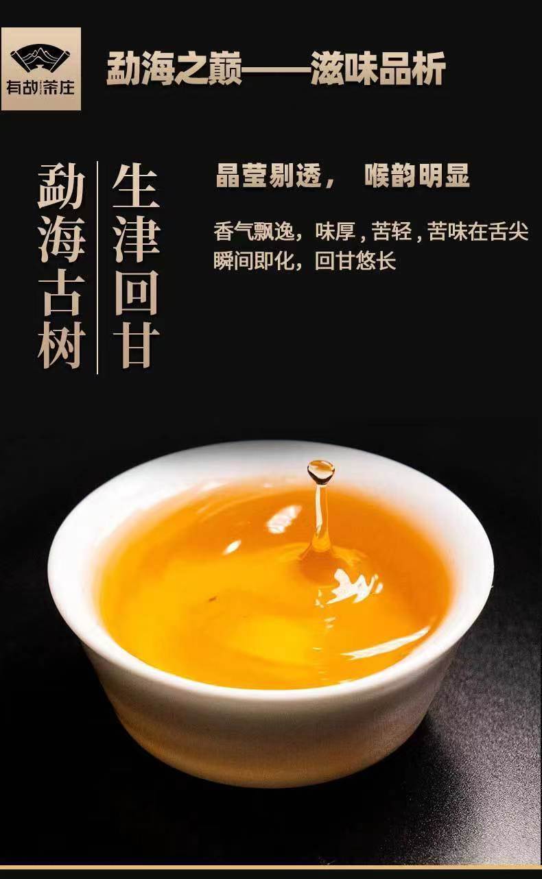 Big Snow Mountain Raw Tea Yunnan Pu'er Tea Ancient Tree Early Spring Cake Tea