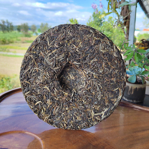 HelloYoung Scraping Walled Pu'er Tea Cake Yiwu Ancient Tree Raw Tea First Spring Yunnan Tea