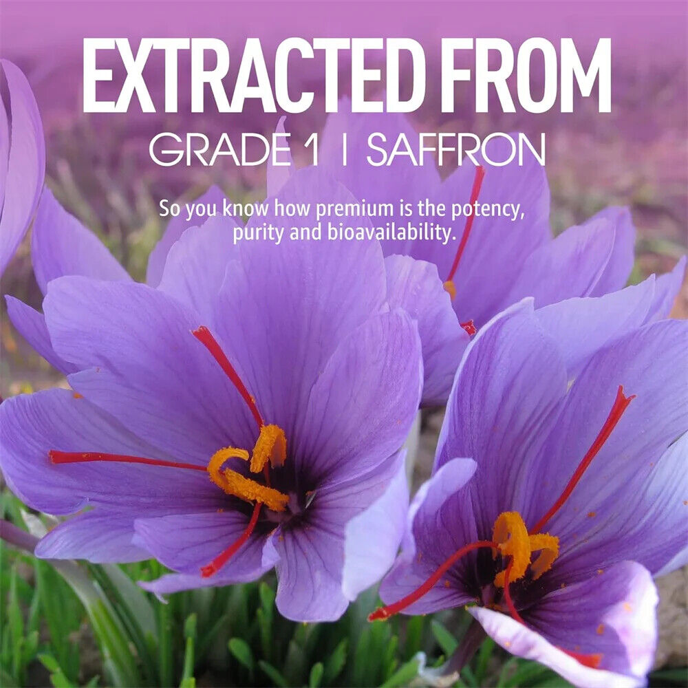 Saffron Gummies Sugar Free Rhodiola Rosea Saffron Extract Gummy