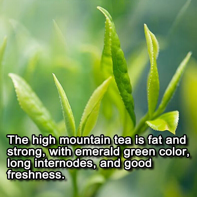 Organic Taiwan Alishan Oolong Tea Tieguanyin Oolong Loose Leaf Milk Oolong Tea