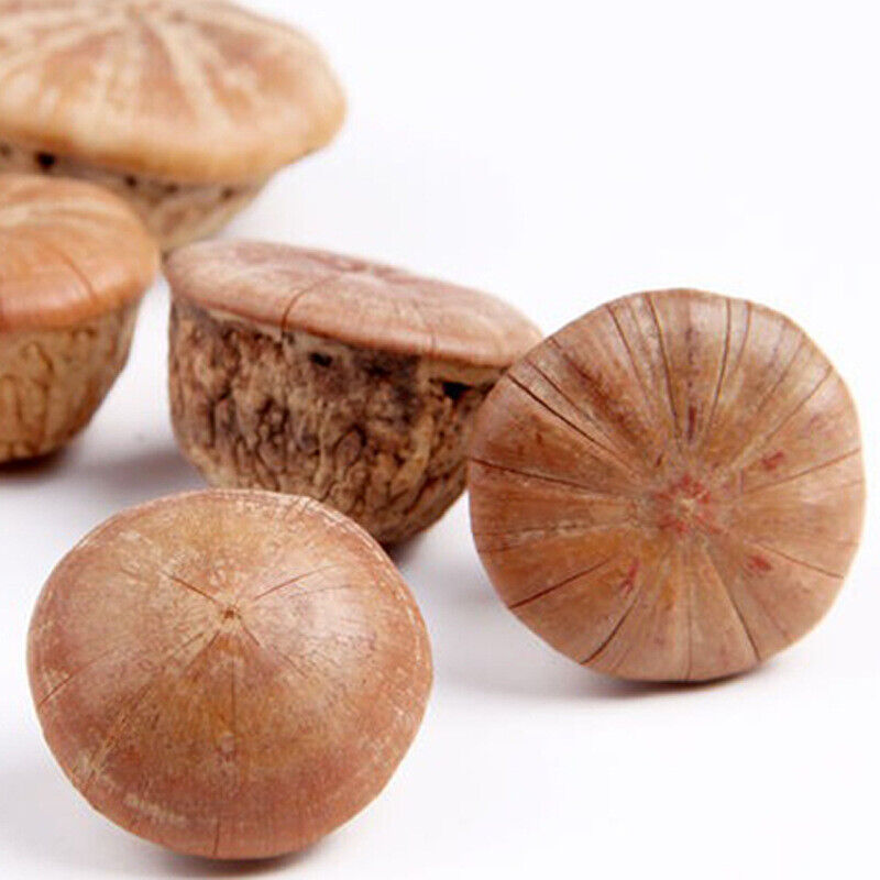 HelloYoung New Fengyou Fruit Dried Turtle Fruit Yin Yang Zi Turtle Fruit 500g