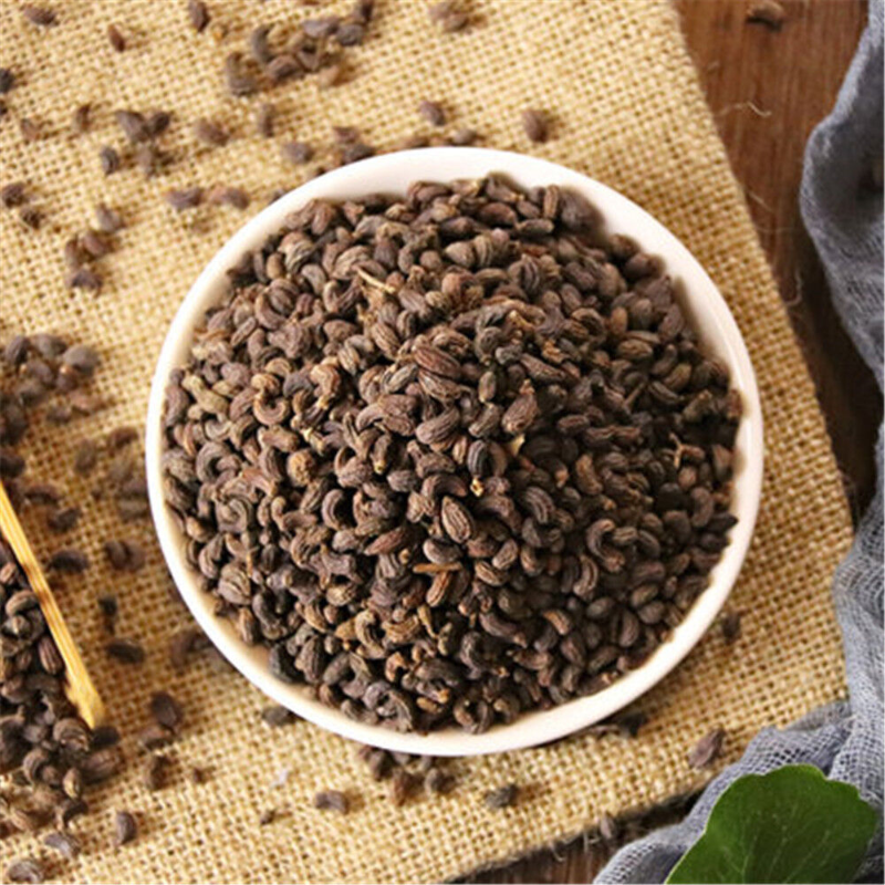 500g Chinese Herb, 100% Natural Ligustri lucidi Fructus Main image