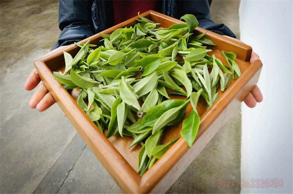 200g Lichee Black Tea Lychee Fruit Flavor Congou Kung Fu Tea Red Tea Health Care