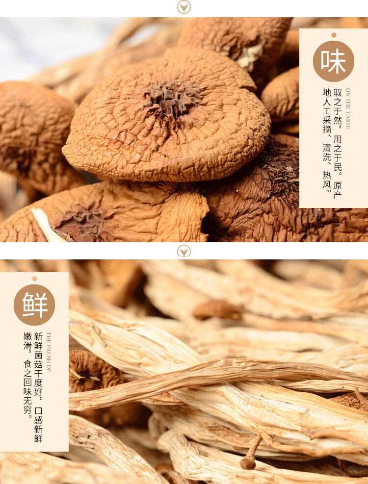 HelloYoung Chinese Herbal Agrocybe Cylindracea New Premium Dried Tree Mushroom 250g/bag