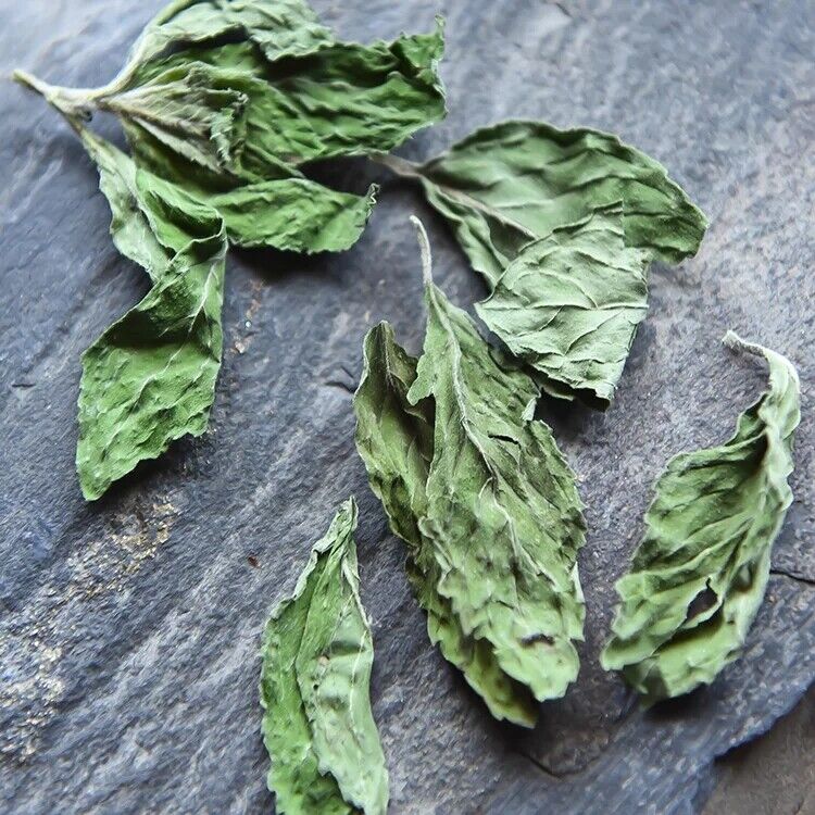 Mint Leaves Dried Peppermint Tea Herbal Pure Peppermint Natural Tea 500g/1.1LB