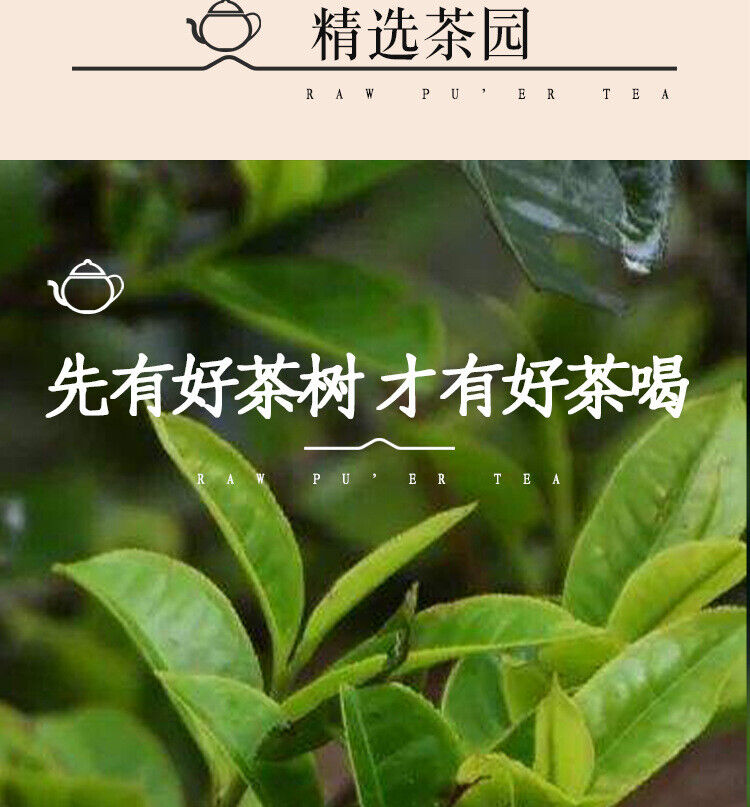 HelloYoung 300g Manzon Yunnan Pu'er tea raw tea leaves old tree pine pressed brick tea