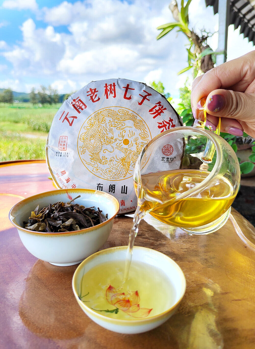 HelloYoung Yunnan Menghai Pu'er Tea Brown Mountain Early Spring Arbor Pu'er Raw Tea Cake