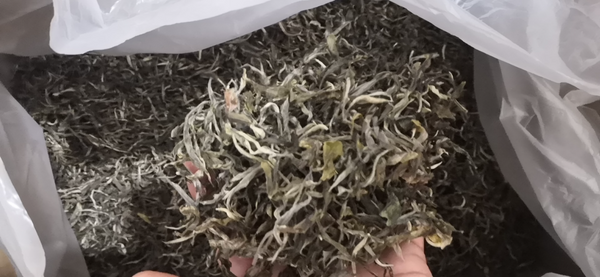 HelloYoung 500G Old Tree Puerh Loose Tea Own Ancient Tea Plantation Raw Ancient Tree Puerh