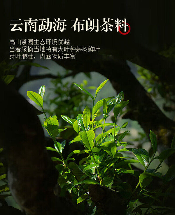 Ten Year Old Jinya Ripe Tea Pu'er Tea Ripe Tea Cake Menghai Bulang Mountain 357g