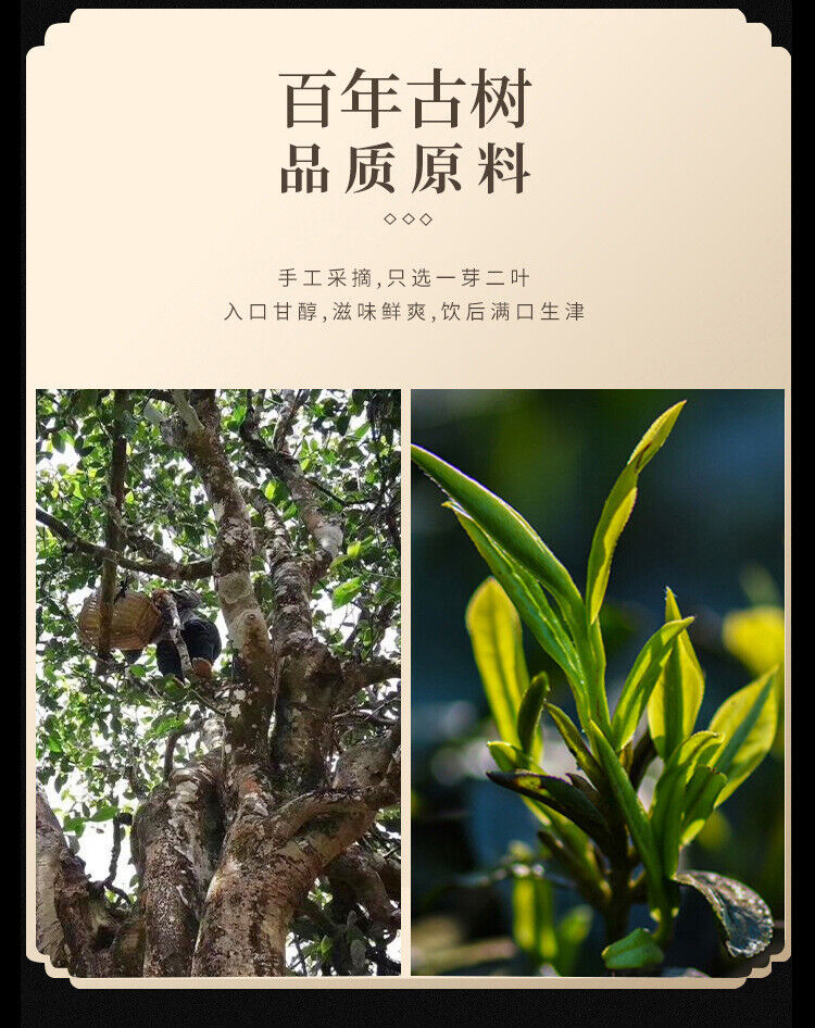 Pu'er Tea Yunnan Qizi Cake Tea Mature Pu'er Tea Mature Pu'er Tea 357g