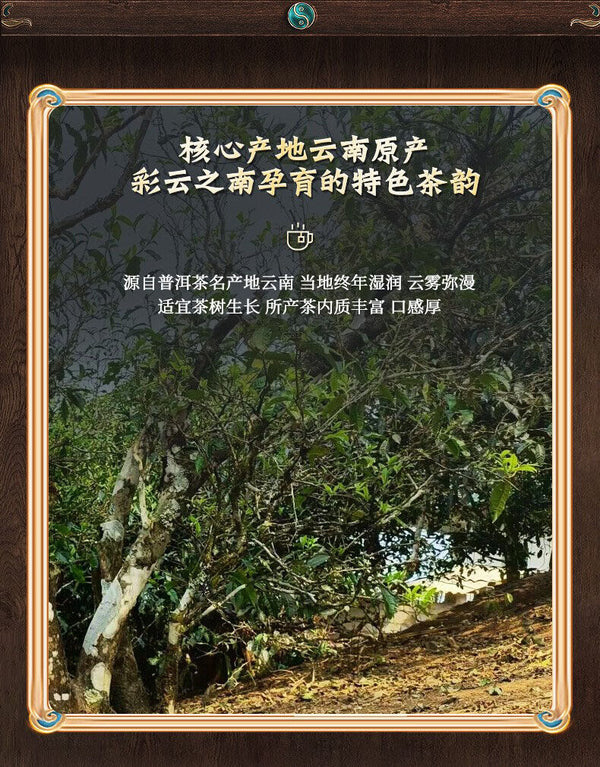 Old Tree Tea Leaves Fermented Pressed Aged Puerh Tea  Puerh Ripe Tea Cake 357g