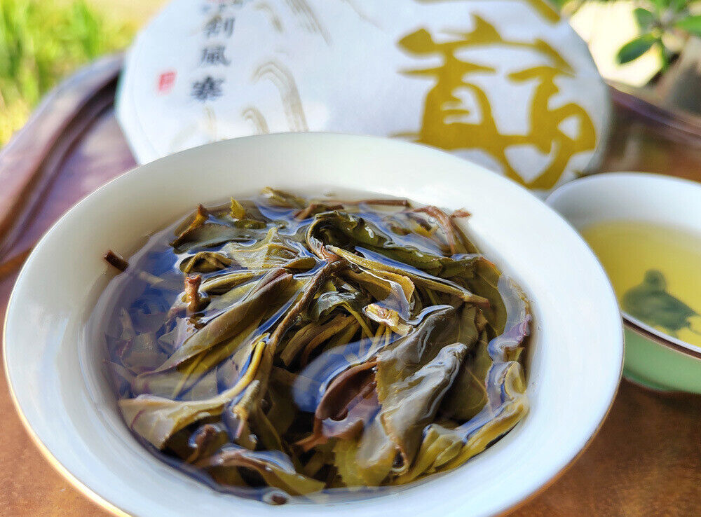 HelloYoung Scraping Walled Pu'er Tea Cake Yiwu Ancient Tree Raw Tea First Spring Yunnan Tea