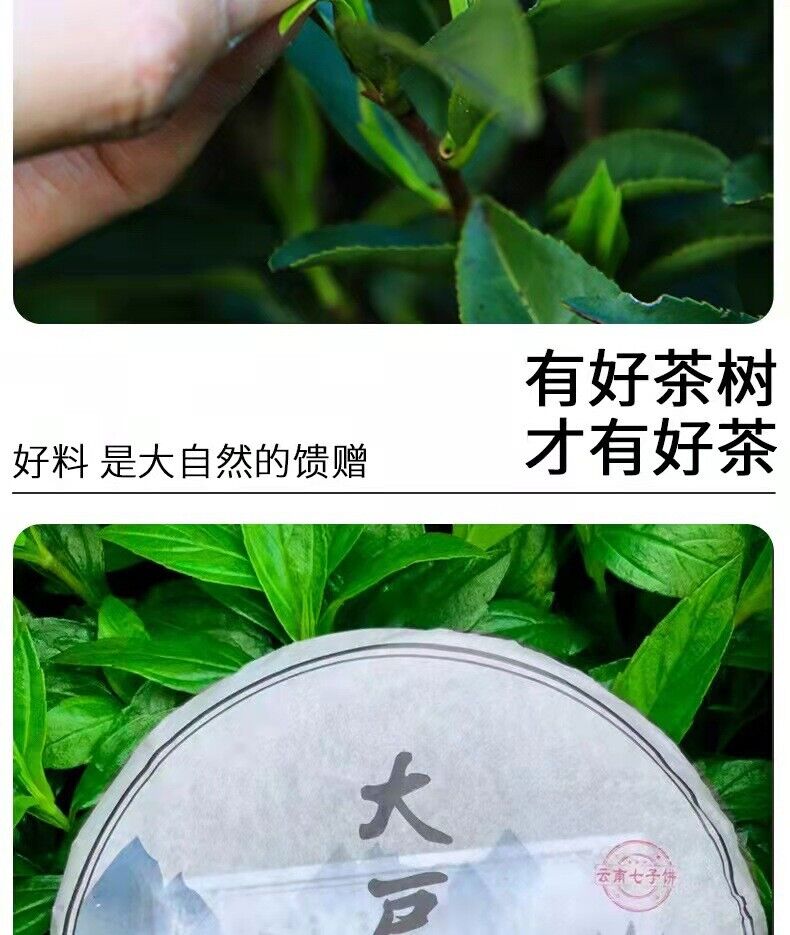 HelloYoung Yunnan Pu'er Tea Raw Tea Cake Raw Puer Tea Cake 357g
