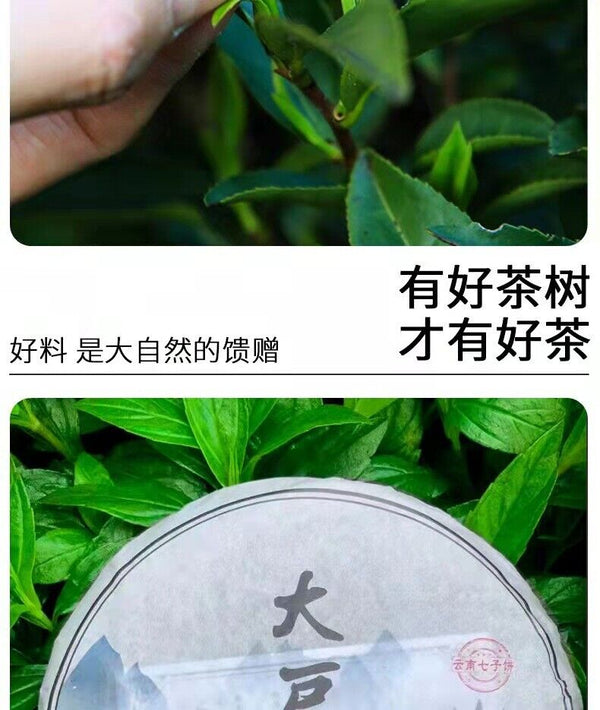 HelloYoung Yunnan Pu'er Tea Raw Tea Cake Raw Puer Tea Cake 357g