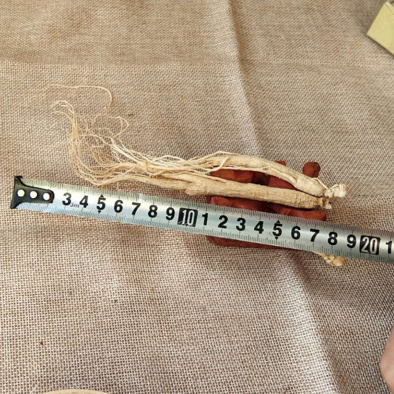 5pcs Changbai Mountain Dried Ginseng Whole Stem White Ginseng for Wine