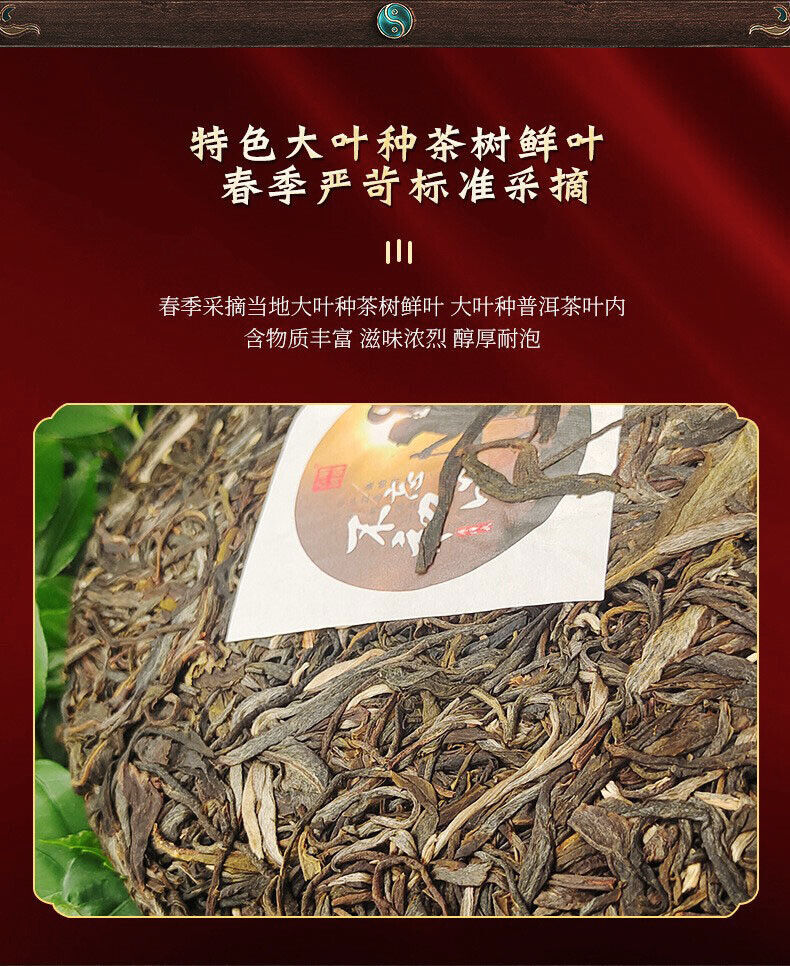 Pu'er Raw Tea Cake Yunnan Pu'er Tea Old Banzhang Icelandic Old Tree Pressed 357g