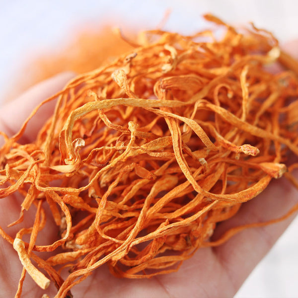 HelloYoung Chinese Anti-aging Cordyceps Flower100g Chong Cao Hua Lowering Blood Pressure