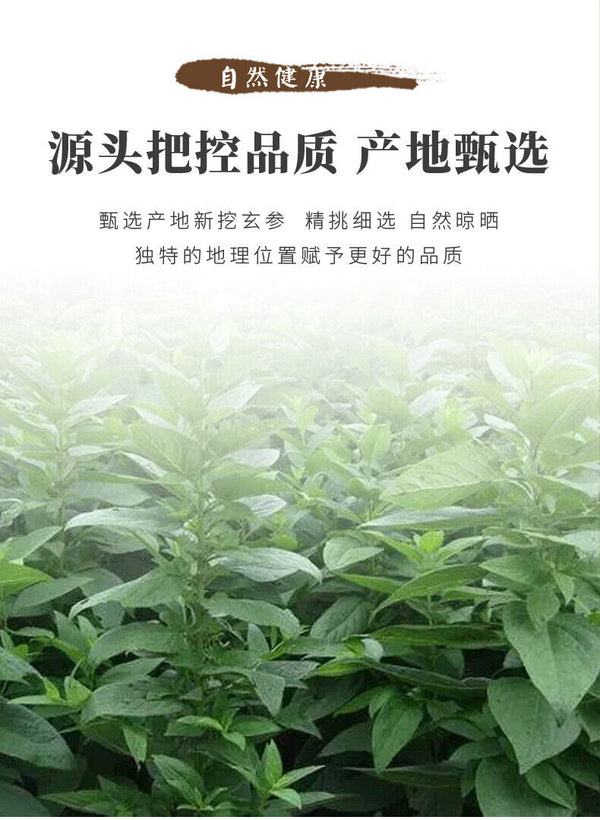 Premium Scrophularia Root  High Quality Affordable