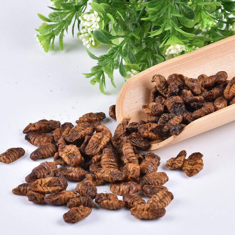 HelloYoung Dried Cicada Chrysalis Dried Silkworm Chrysalis Chinese Herbs 500g/1.1lb