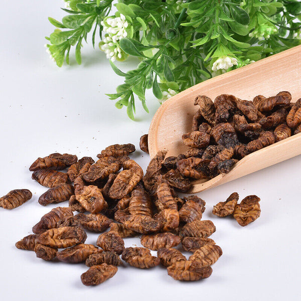 HelloYoung Dried Cicada Chrysalis Dried Silkworm Chrysalis Chinese Herbs 500g/1.1lb