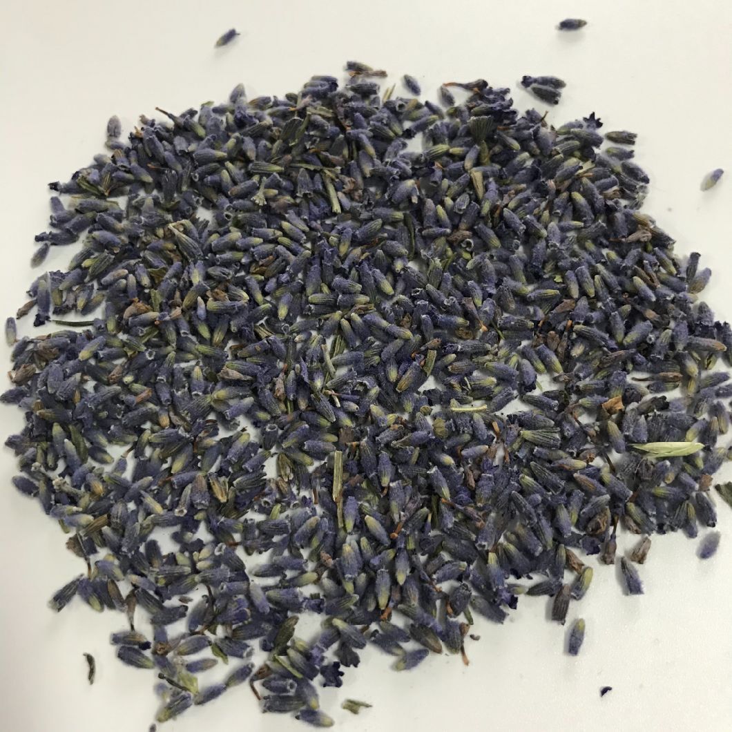 Health Jasmine Flavour Tea Green Tea Leaf Jasmine White Dragon Pearl Tea 500g