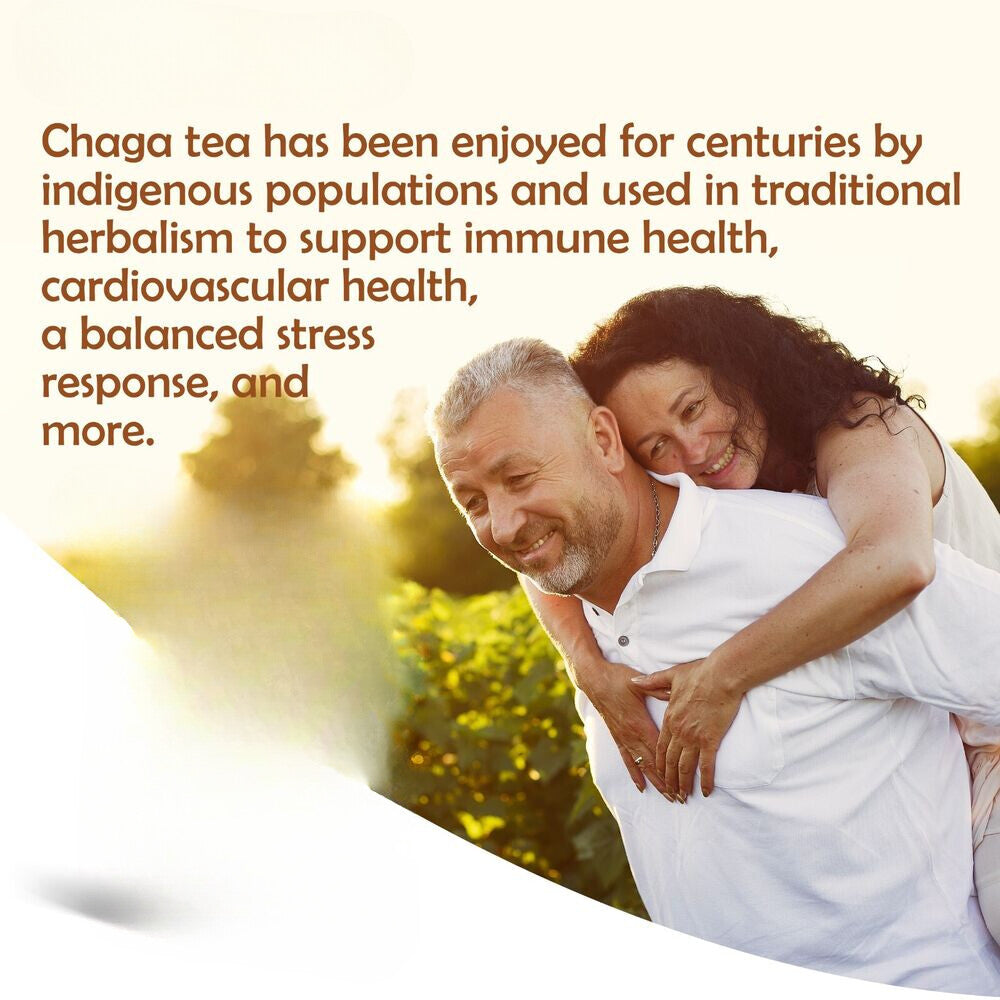 100g Pure Chaga Extract Powder Mushroom Supplement Chaga Mushroom Powder