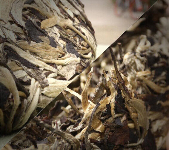 cha Puerh Tea Organic Moonlight Beauty Menghai Puer Moonlight Sheng Pu-erh 357g
