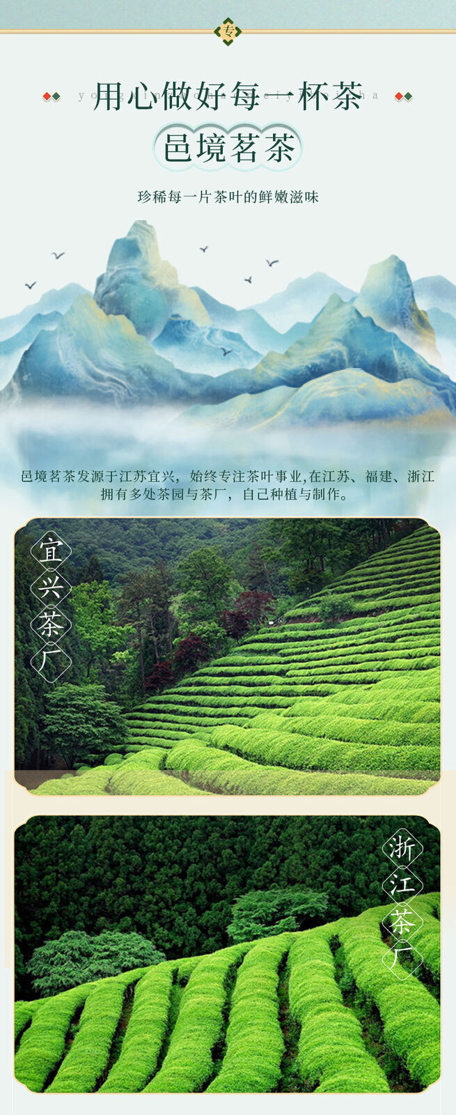 Green Tea Exquisite Gift Box Yuhua High Quality Tea Organic 96g
