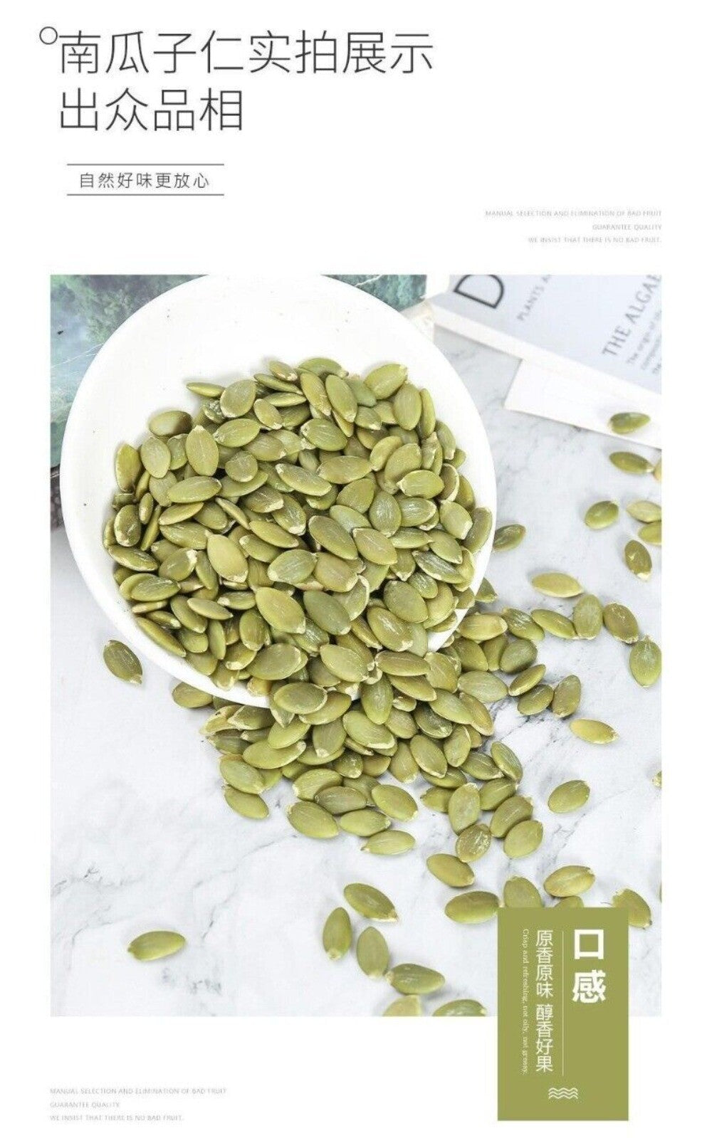 Large Pumpkin Seed Kernels 500g Original Flavor Premium Canned Snack