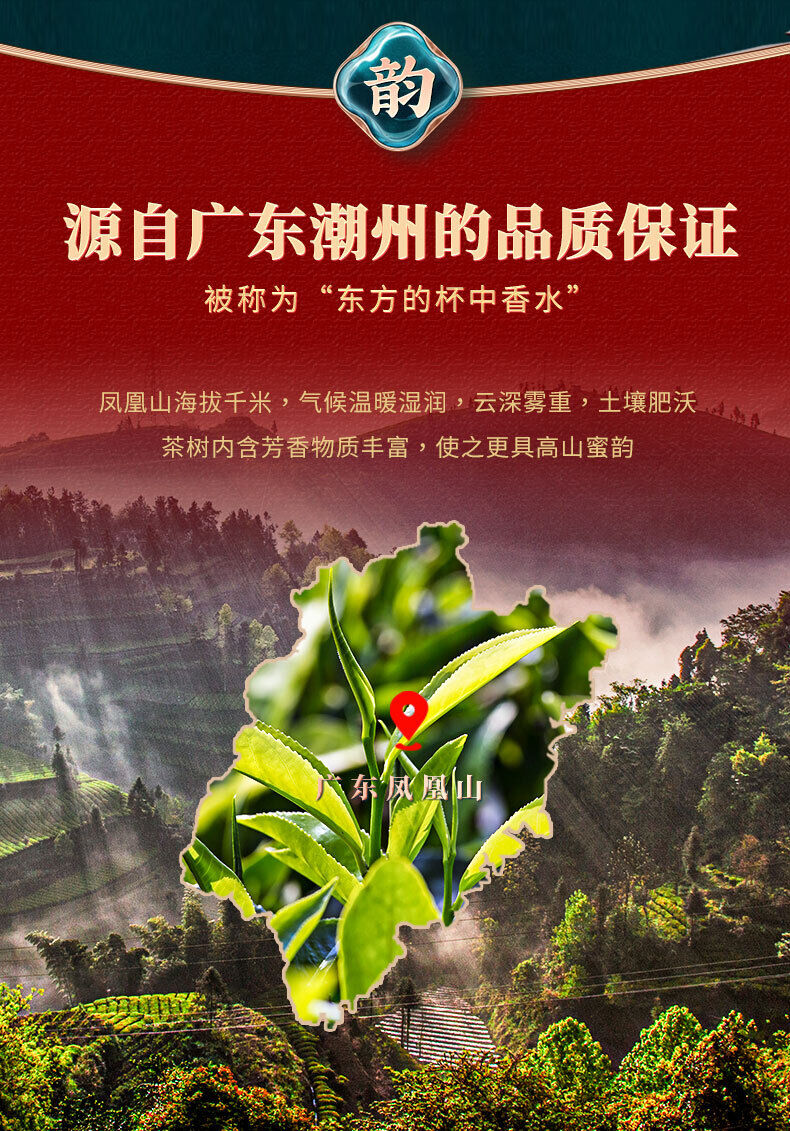 Phoenix Dan Cong Tea Single Bush Authentic Chaozhou Duck Shit Aroma 125g