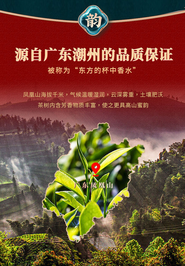Phoenix Dan Cong Tea Single Bush Authentic Chaozhou Duck Shit Aroma 125g