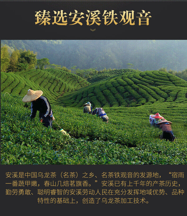 HelloYoung 100g Fujian high mountain oolong tea Anxi Tieguanyin tea orchid scented tin cans