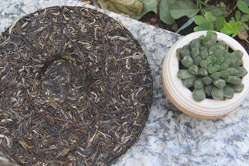 357g 2021 Big Tree Early Spring Tea Yongming Tea Factory Pu'er Raw Tea