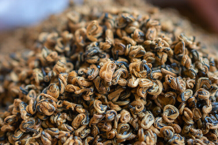 HelloYoung Fengqing Dian Hong tea gold snail spring tea Yunnan black tea red snail gold bud