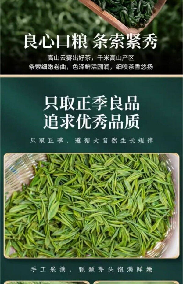 High Mountain Cloud Maojian Green Tea Loose Leaf 2025 Spring Harvest Fragrant