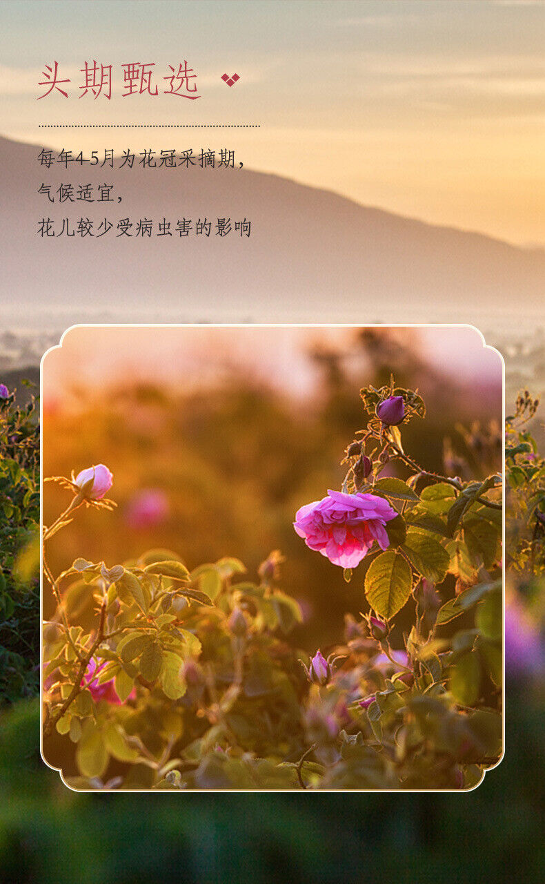 Rose Dried Tea Rose Crown Flower Tea One Flower One Cup Soaked in Water 65g