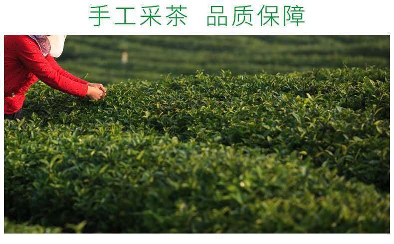 HelloYoung New pring Tea High Mountain Cloud Green Tea Strong Fragrance Ration Tea 250g