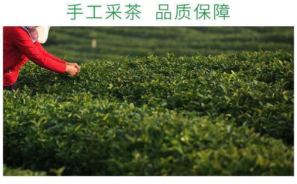 HelloYoung New pring Tea High Mountain Cloud Green Tea Strong Fragrance Ration Tea 250g