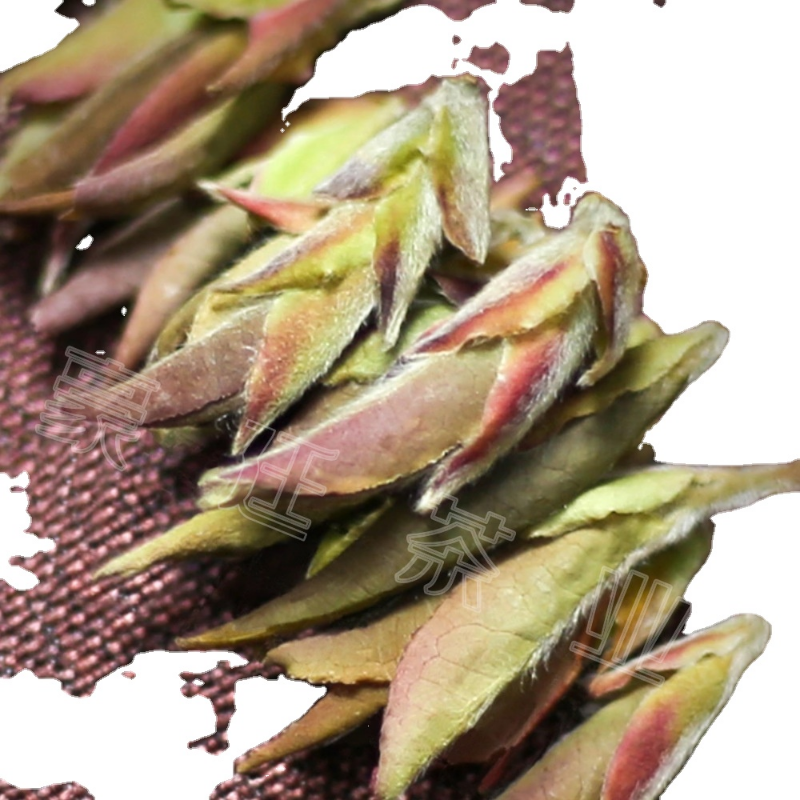 Thé Pu'er bourgeon violet début du printemps nouveau thé thé au nectar Mingqian