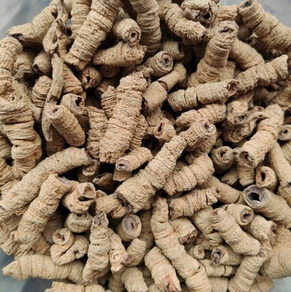 HelloYoung New Baji Tian Chinese Herbs Dried Baji 500g