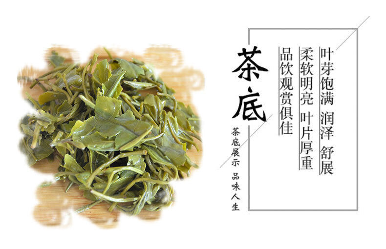 HelloYoung Rizhao Green Tea New Tea Strong Fragrance and Brewing Resistance 500g/1.1lb