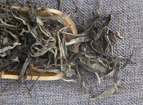 HelloYoung 500g Pu-erh Raw Tea Loose Tea 凤凰山古茶园头春凤凰窝散普