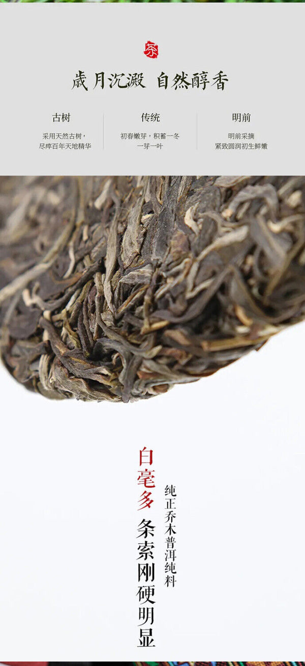 Plum Turnip Ancient Tree Puerh Tea Cake Aged Old Tree Head Spring Tea 357g