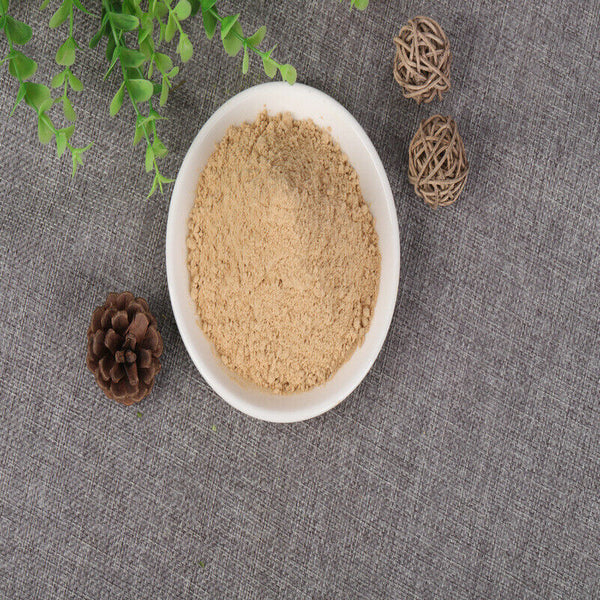 100% Pure Lion's Mane Mushroom Powder Meal Replacement Powder Freshly ground
