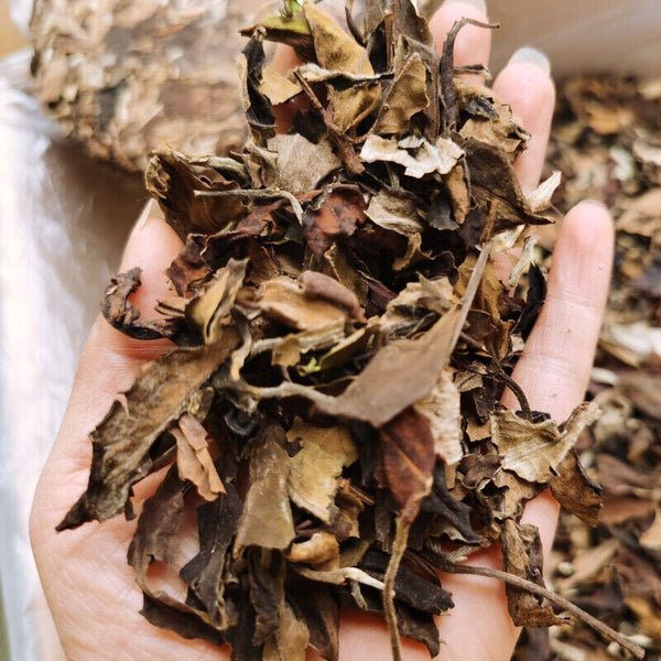 HelloYoung Yunnan White Tea Handmade Graphite Pressed White Tea Cake Organic 357g/12.59oz