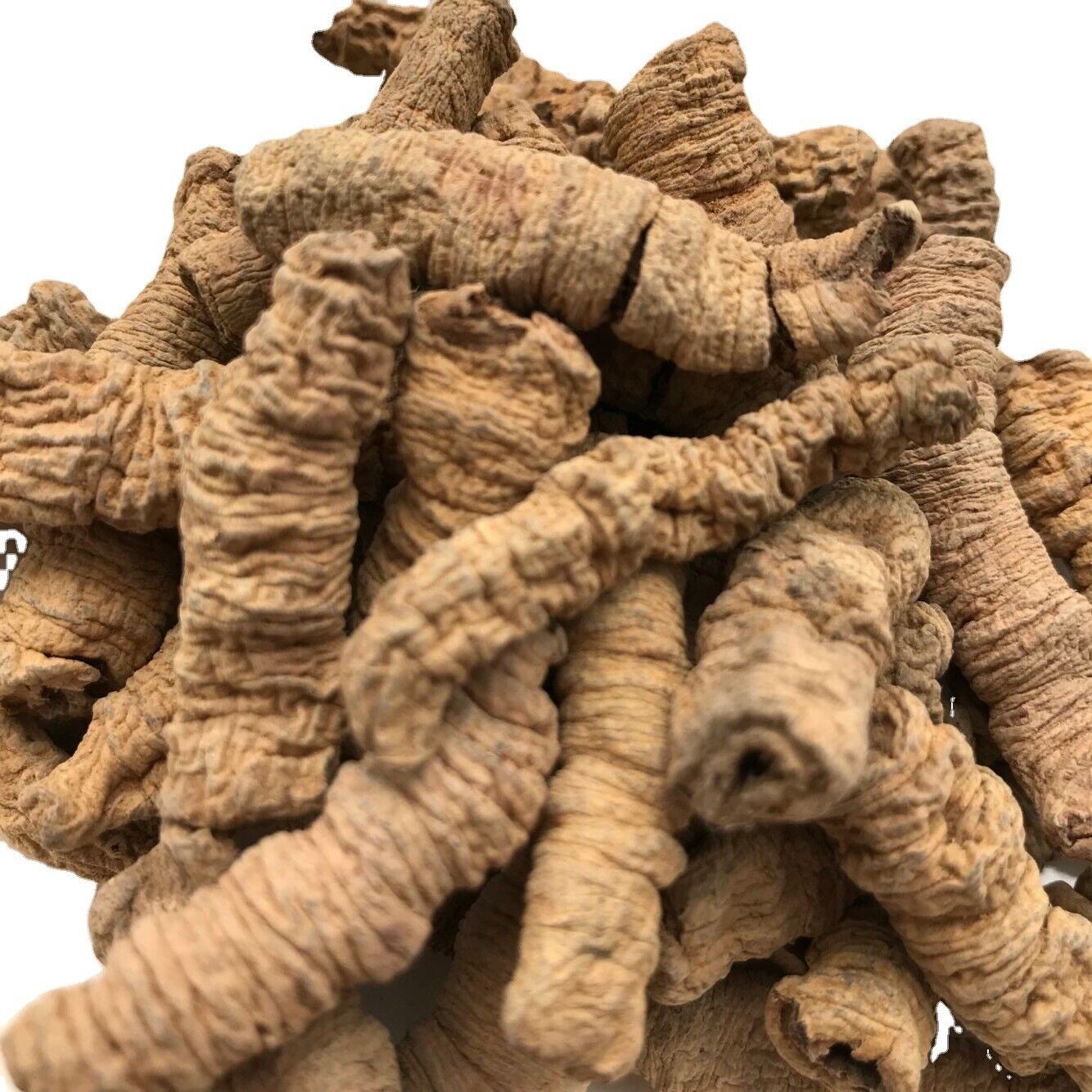 HelloYoung New Baji Tian Chinese Herbs Dried Baji 500g