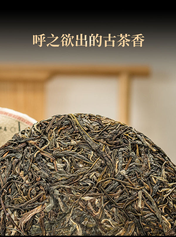 HelloYoung 357g Understood Pu'er Raw Tea Yunnan First Spring Ancient Tree Pu'er Cake Tea