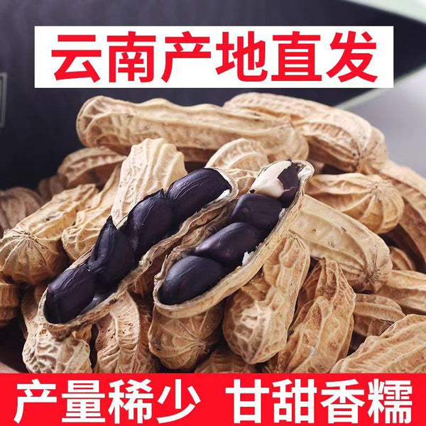Year-End Nut Gift Box – Mixed Nuts & Dried Fruits for Group Buy & Sharing