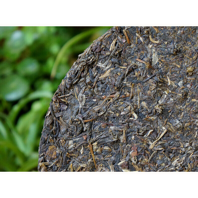 HelloYoung Jiujiu Xiaotai No.6 Qizi Tea Tie Bing PuerChaTea 357g Xiaguan Inheritance