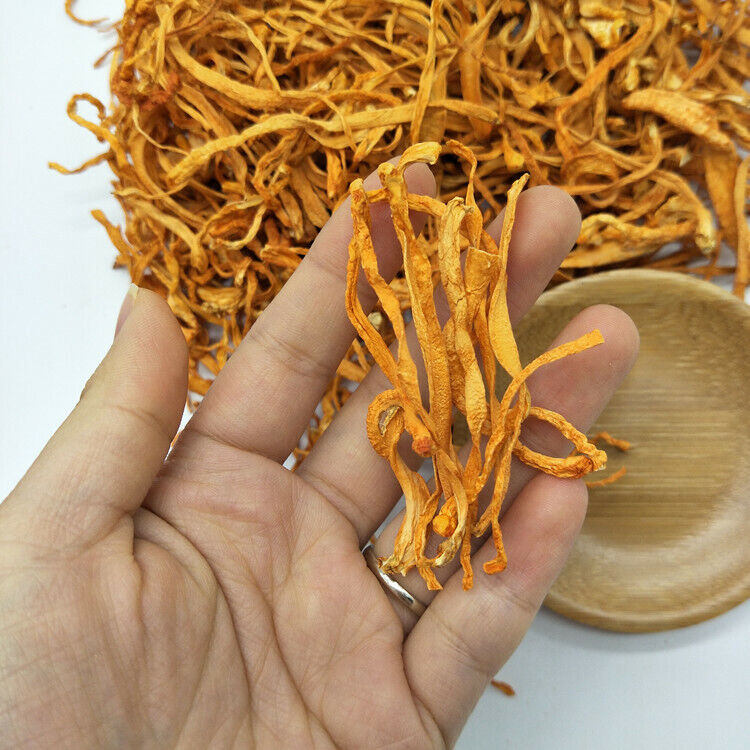 HelloYoung Chinese Cordyceps Flower Chong Cao Hua Anti-aging Lowering Blood Pressure 100g